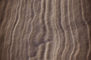 Fototapeta premium Sand, cold desert.