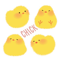cute chicks character design set vector illustration