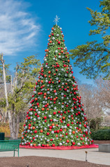 Dallas Arbitorium and Botanic Garden in Winter. The Dallas Skyline in the distance