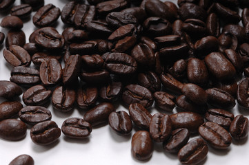 コーヒー豆　コーヒー　