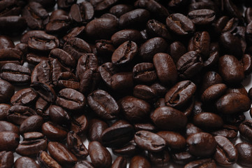 コーヒー豆　コーヒー　
