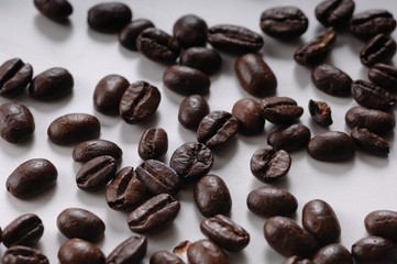 コーヒー豆　コーヒー　