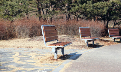 Three benches in the park