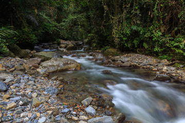 Nature landscape view of Deep forest clean river (image slightly long expo and motion blur)