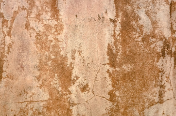 brown dirty mildewed wall