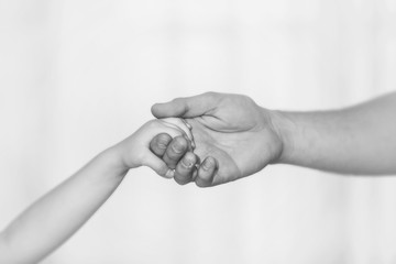 Hands closeup of a male father holds the child's hand on a light background