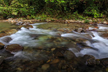 Nature landscape view of Deep forest clean river (image slightly long expo and motion blur)