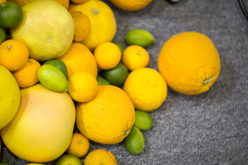 Various citrus fruits isolated. Yellow color fruits