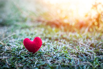 Red heart on the grass and green felt romantic on Valentine's day.