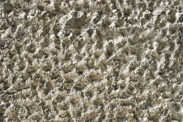 Rough Surface Concrete Texture