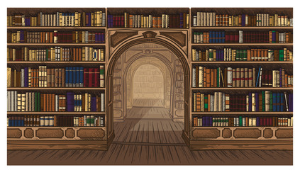Library book shelf interior graphic sketch colorfull illustration vector