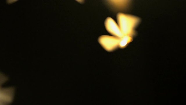 Bright bioluminescence of Firefly swarm with illuminated wings on dark summer night in tropical Rainforest environment