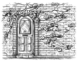 sketch hand drawn old wooden arched door in brick grape braided wall vector