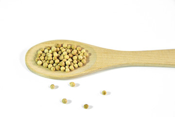 White peppercorns close up,  in wooden spoon on a white background isolated