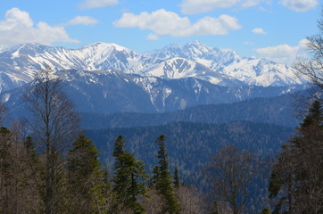 panoramic view of the mountains
