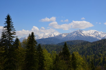 view of mountains