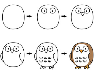 drawing cartoon owl step by step
