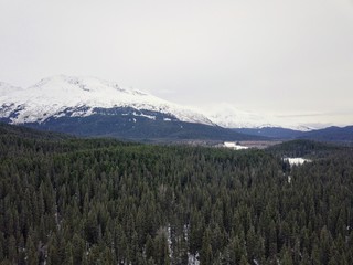 Views from the Chugach mountains in Alaska 