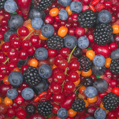 set of berries background