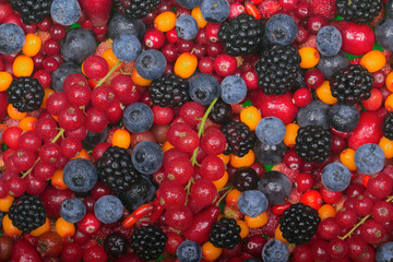 set of berries background