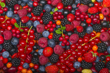 set of berries background