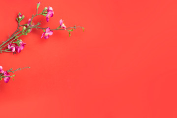 Obraz na płótnie Canvas Chinese new year cherry blossom branch border on red paper background