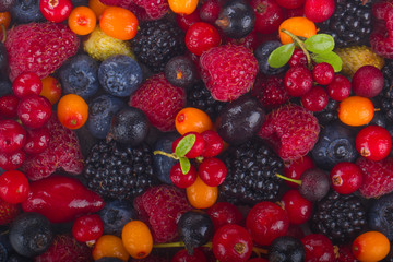set of berries background