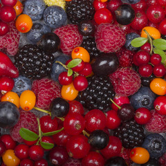set of berries background