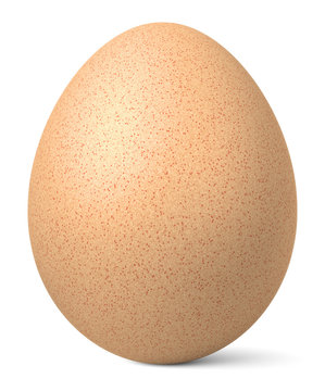 One chicken brown egg with shadow