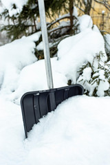 Black plastic shovel with an aluminum handle, standing in a snowdrift and ready to work, against the backdrop of a snow-covered spruce. Close-up.