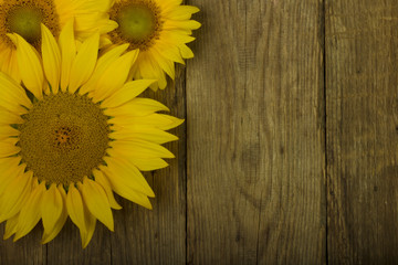 heap of sunflower on wooden background