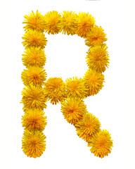 The letter of the English alphabet is collected from the flowers of yellow chamomile. Isolated on white background.