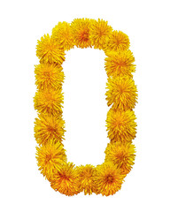 The letter of the English alphabet is collected from the flowers of yellow chamomile. Isolated on white background.