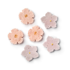  Japanese tea ceremony sweets