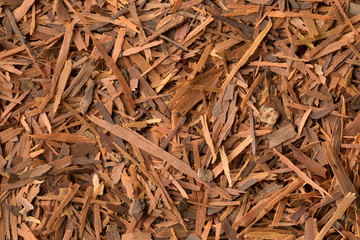 Lapacho tea or Taheeboo