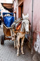 Pferd und Kutsche in Sevilla, Foto als Hintergrund © underworld
