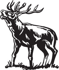 A sketch of a deer