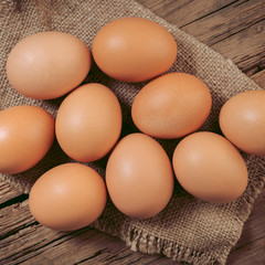 brown chicken eggs close-up