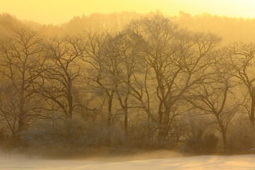 夜明けの北上川