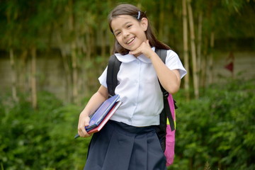 Obraz premium Beautiful Asian Girl Student