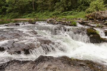 Naklejka premium Mountain river with small waterfall, rocks, forest