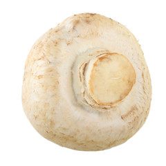  champignon isolated on white background