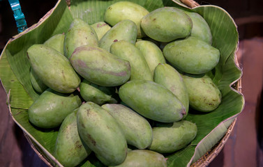 green mango and green leaf on basket and old wooden desk,group of mangoes fruit,organic raw mango,sour and high vitamin C fruit for healthy. tropical Thai green mango is popular fruit in basket .