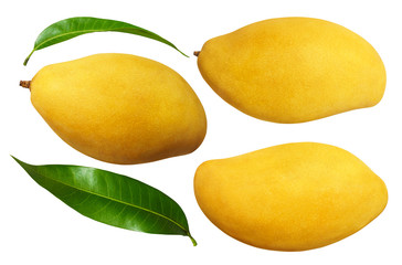 Yellow mango with leaves isolated on white background with clipping mask