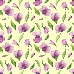 Fototapeta na wymiar Watercolor floral pattern with sweet pea flowers. Flowers, leaves, pods and tendrils in a watercolour style.Elegant pattern for fashion prints for printing fabrics, paper, background, etc. - Illustrat