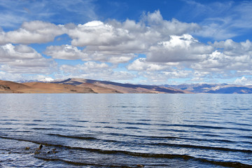 China, Tibet. High-mountain lake Tarok in summer in cloudy weather