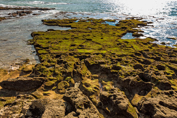 Moss covered rocks off the shores of Bay of Cadiz