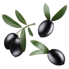 Set of beautiful black olives, isolated on white background