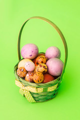 Colorful Easter eggs in a basket on soft green background
