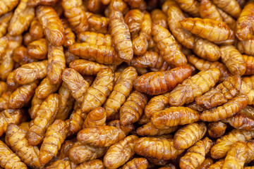 Fried pupa on street food.selective focus.